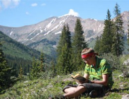 Books on a Rock: Postcards from Camp