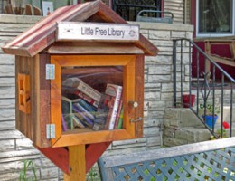 Sharing Books in a Little Free Library