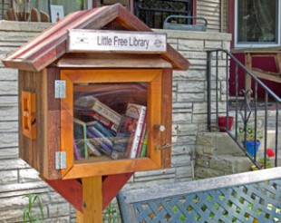 Sharing Books in a Little Free Library