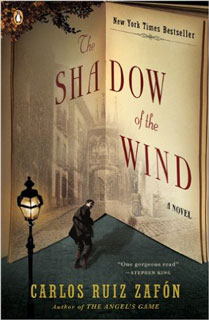 Shadow-of-the-Wind