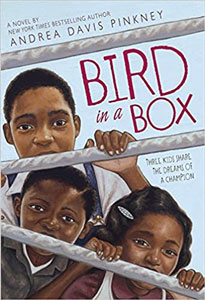 Bird in a Box by Andrea Pinkney